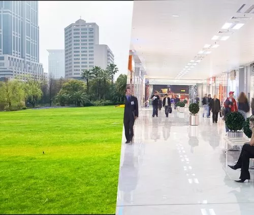 השקעה בקרקע או בנכס מסחרי