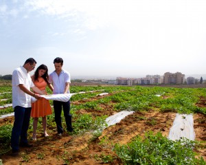 החברה למימוש קרקעות צרו קשר