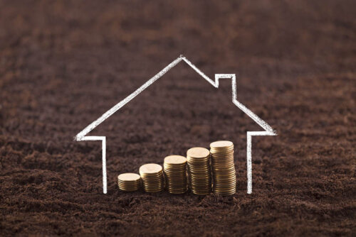 מגרשים למכירה - סוגים, מחירים ואפשרויות