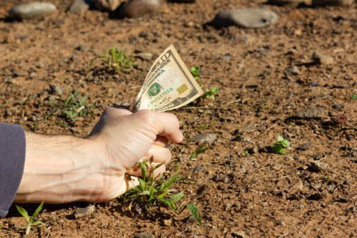 קרקעות בזול - האם כדאי ומה לבדוק