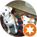 אור שפר profile picture