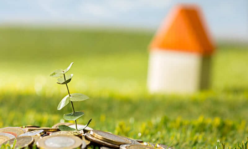 בדיקת קרקע חקלאית