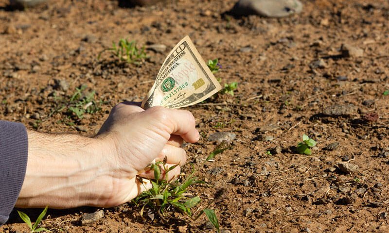 קרקעות בזול - האם כדאי ומה לבדוק