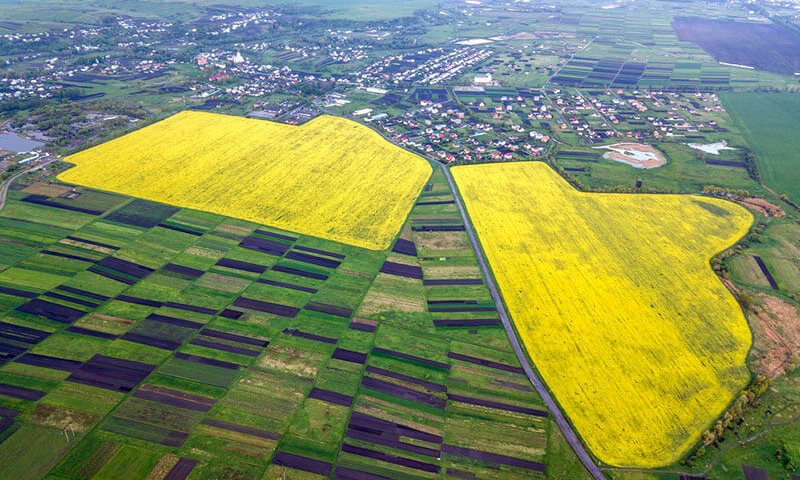 סוגי קרקעות בישראל
