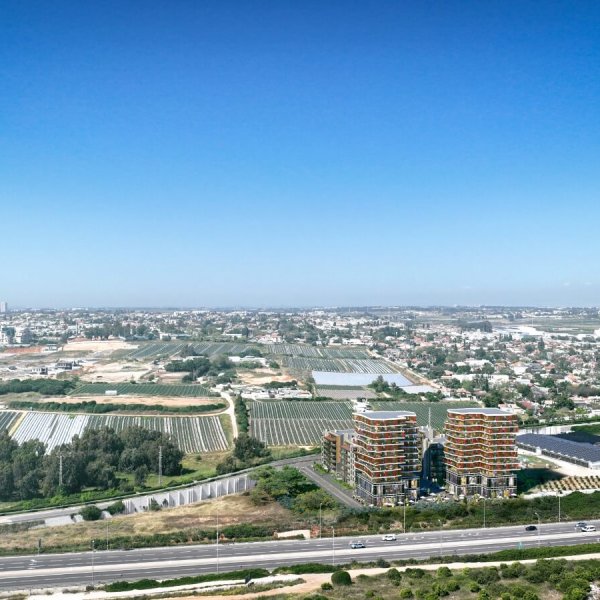 אבן יהודה הדמיה