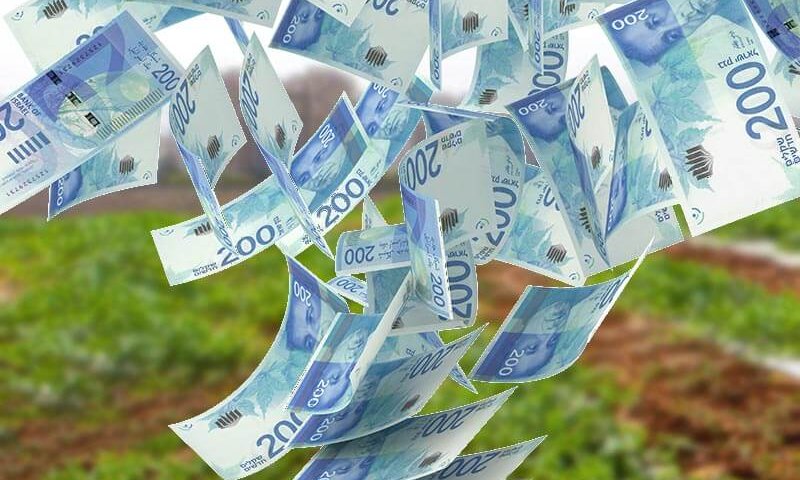 היטל השבחה על קרקע חקלאית