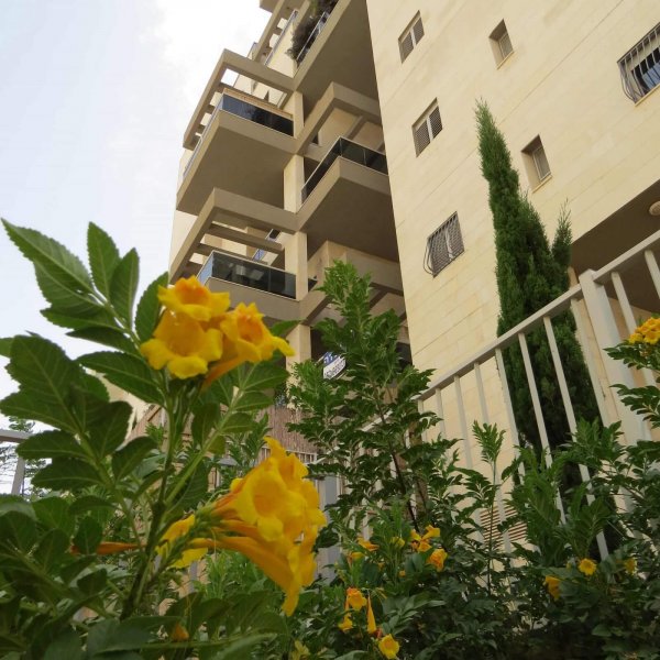 כפר סבא הירוקה - סקיבין 10