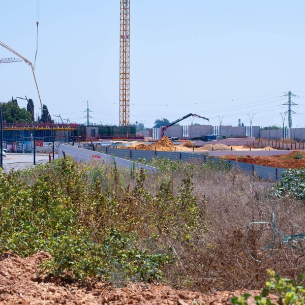 פרויקט פרדס משותף - רע 2012 -2046 6