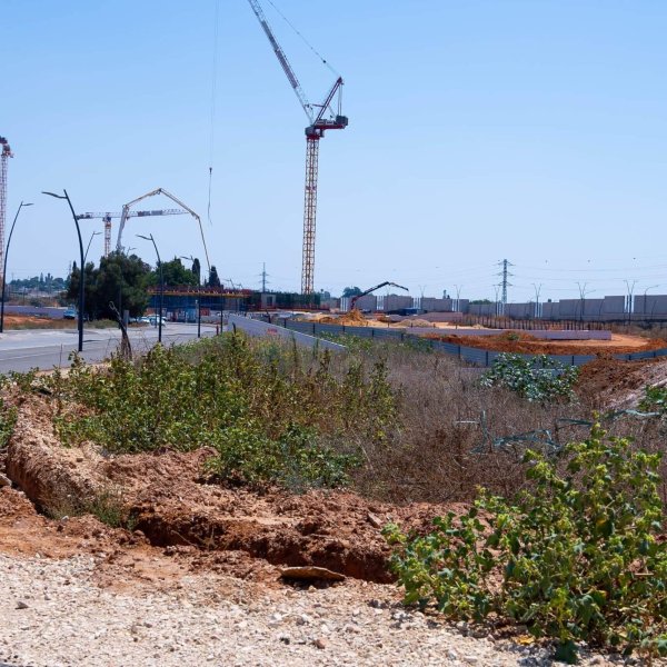 פרויקט פרדס משותף - רע 2012 -2046 7