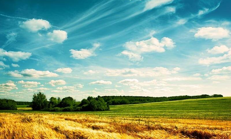 קרקע חקלאית תמונה